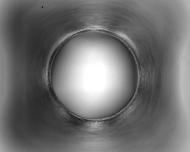 X0000088701278200705311208