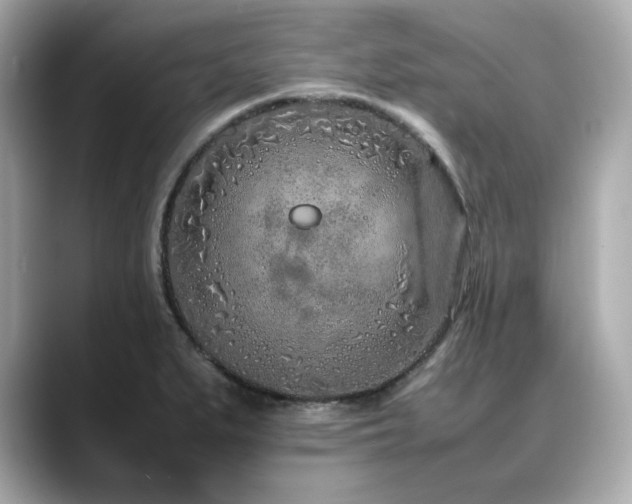 X0000088701279200705311208