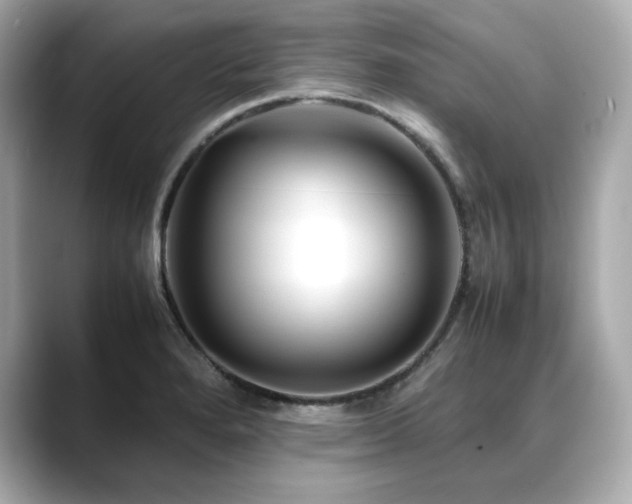 X0000088701280200705311208
