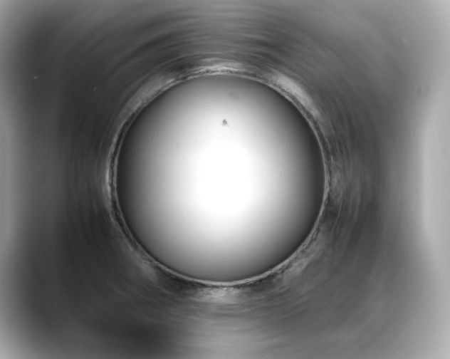 X0000088701282200705311208