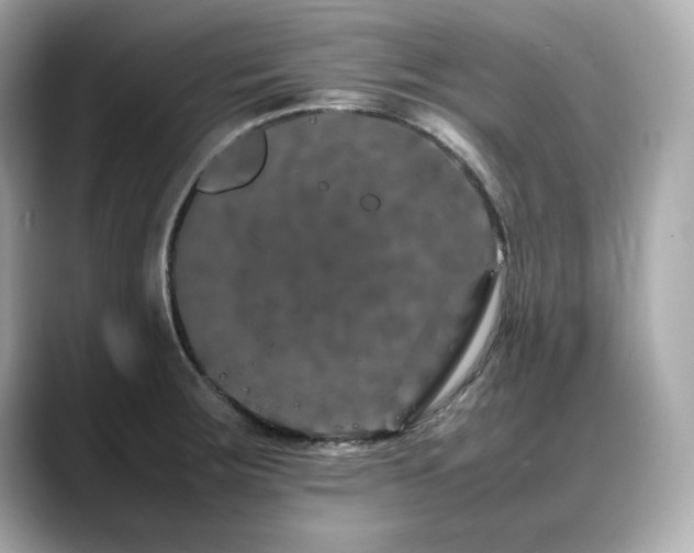 X0000088701283200705311208