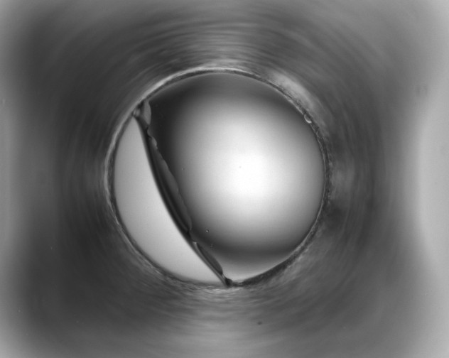 X0000088701284200705311208