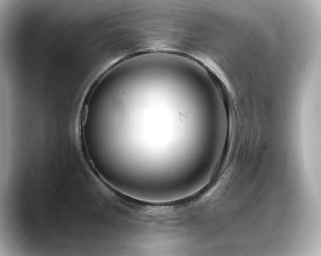 X0000088701285200705311208