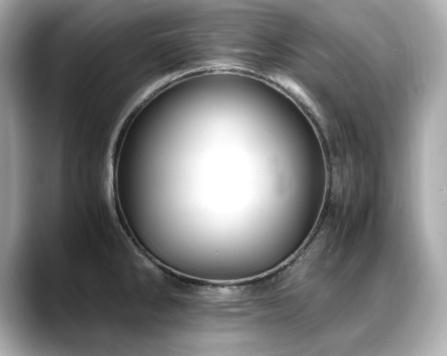 X0000088701286200705311208