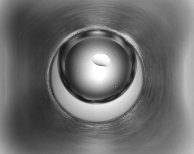 X0000088701287200705311208