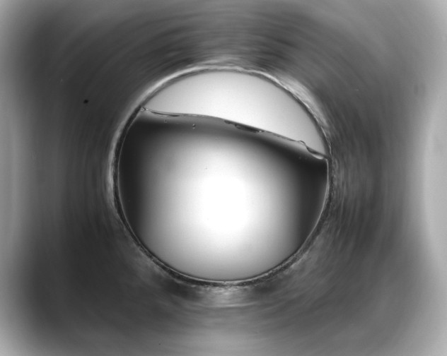 X0000088701288200705311208