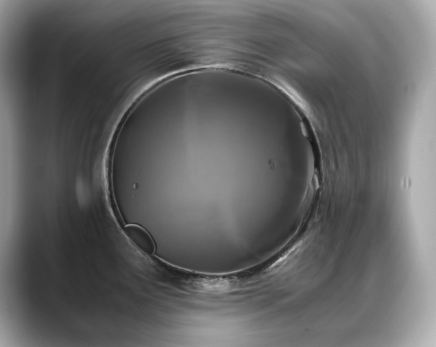 X0000088701291200705311208