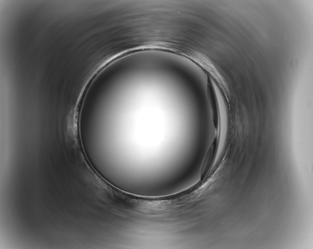 X0000088701292200705311208
