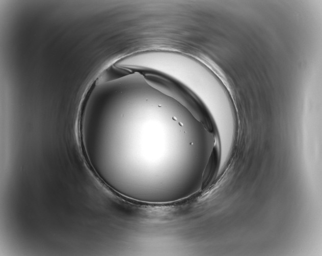 X0000088701293200705311208