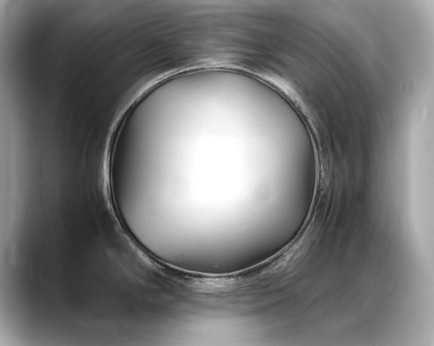 X0000088701294200705311208