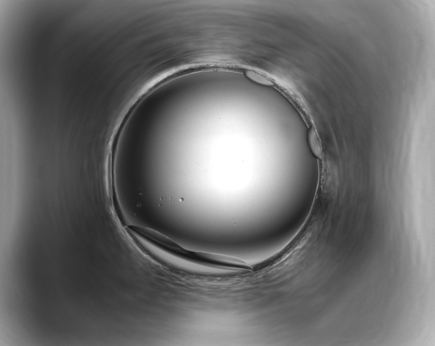 X0000088701295200705311208
