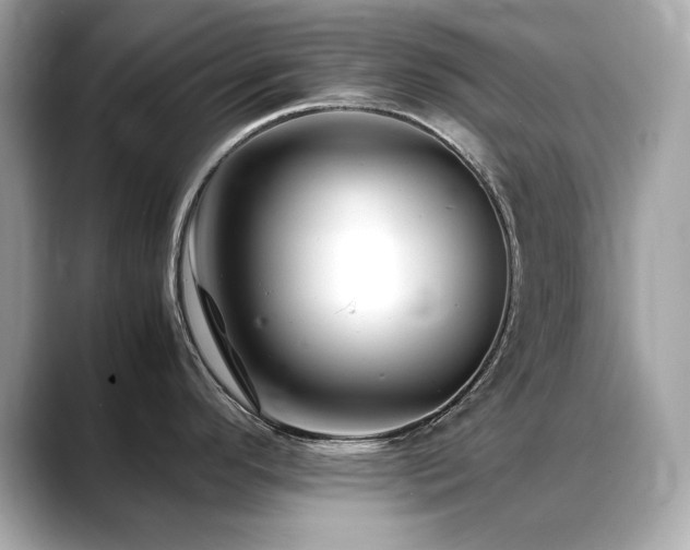 X0000088701296200705311208