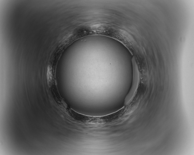 X0000088701298200705311207
