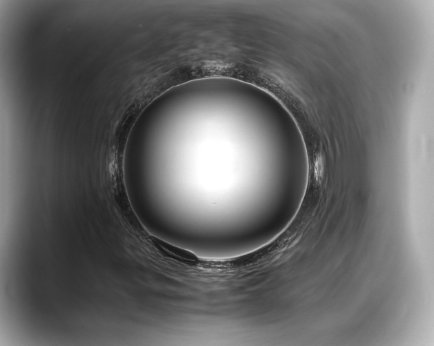 X0000088701299200705311207