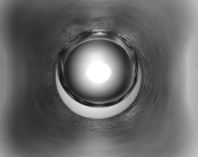 X0000088701300200705311207