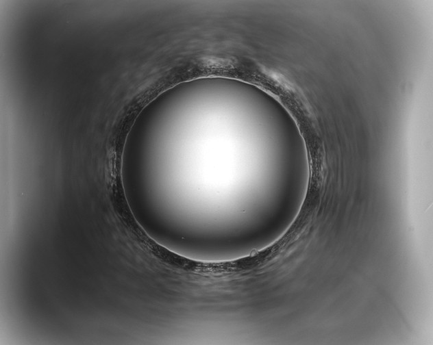 X0000088701301200705311207
