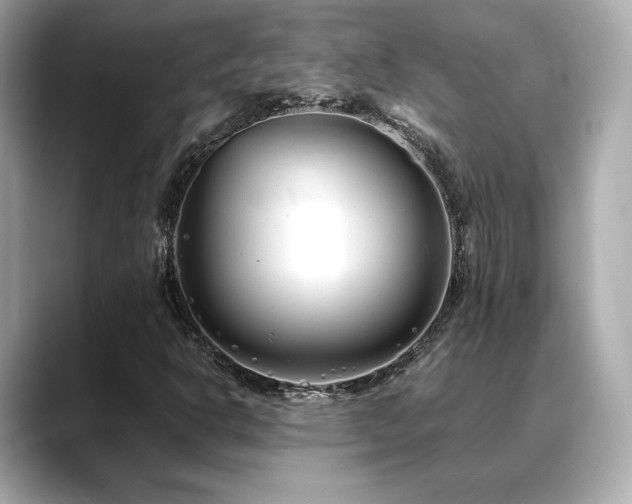 X0000088701302200705311207