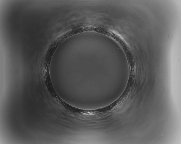 X0000088701303200705311207