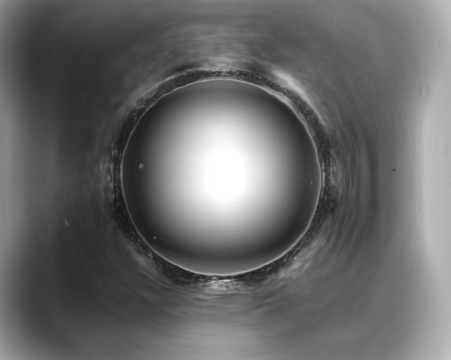 X0000088701304200705311207