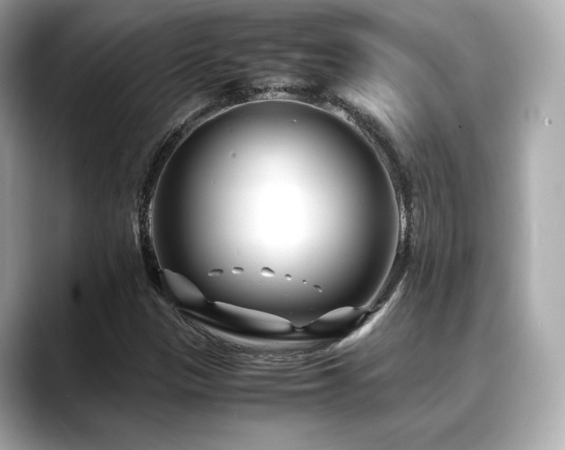 X0000088701305200705311207