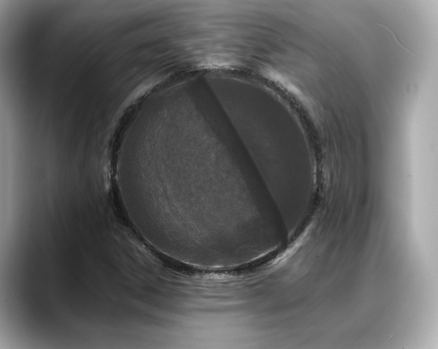 X0000088701306200705311207