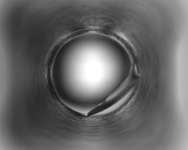 X0000088701307200705311207