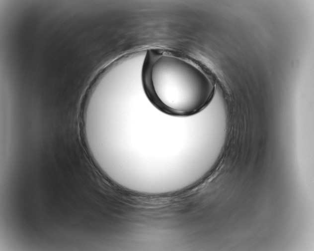X0000088701308200705311207