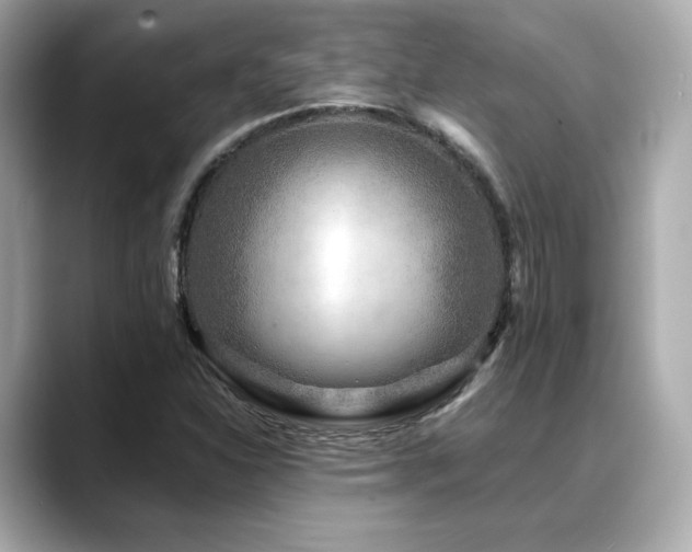 X0000088701310200705311207