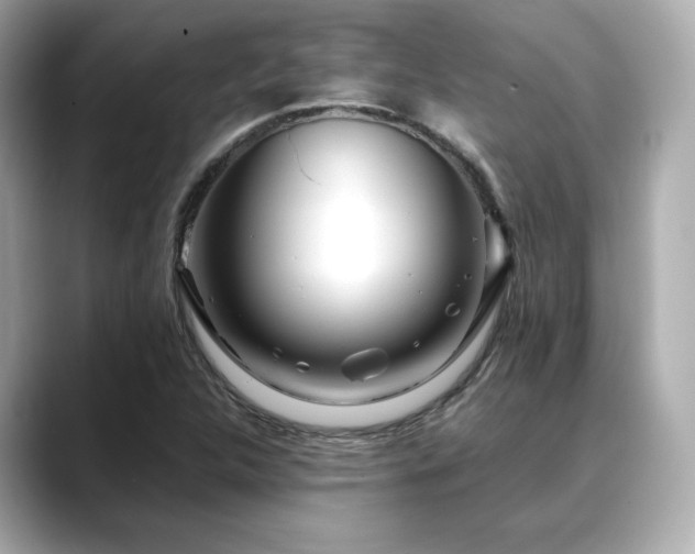 X0000088701312200705311207