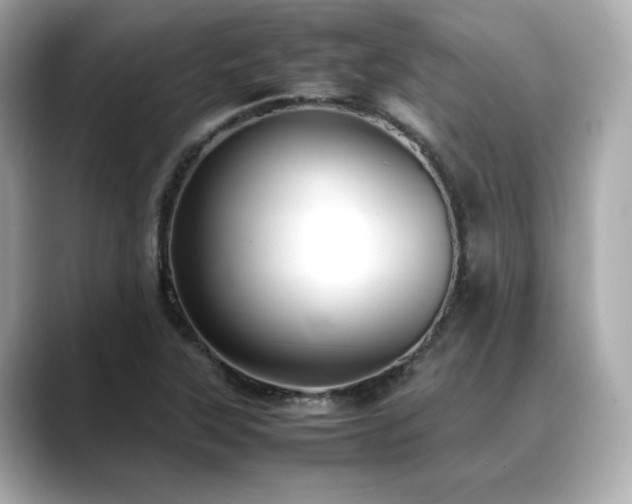 X0000088701315200705311207
