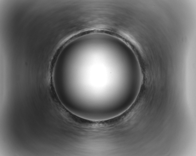 X0000088701316200705311207