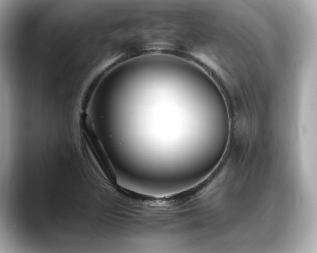 X0000088701317200705311207