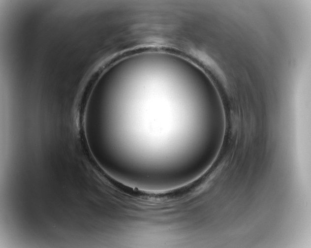 X0000088701318200705311208