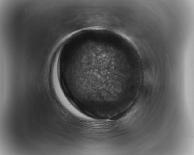 X0000088701319200705311208