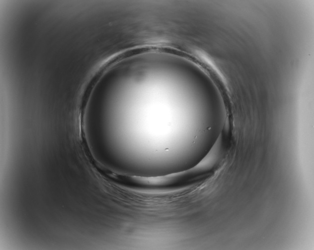 X0000088701320200705311208