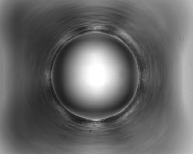 X0000088701321200705311208