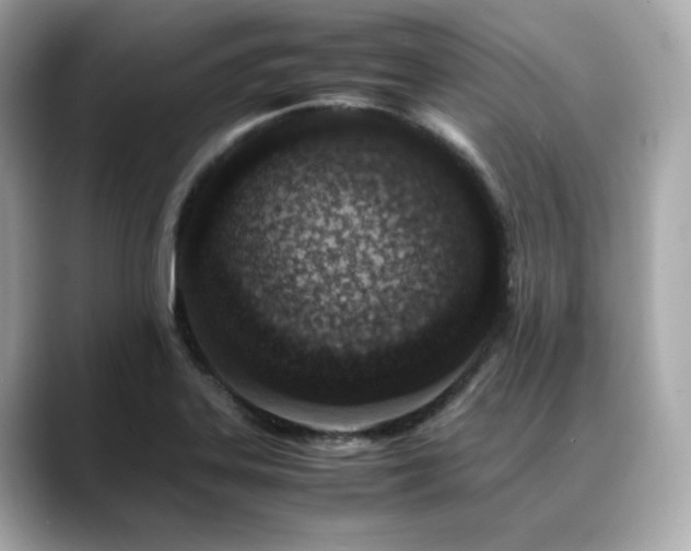 X0000088701323200705311208
