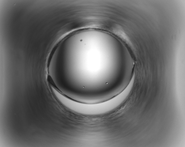 X0000088701324200705311208