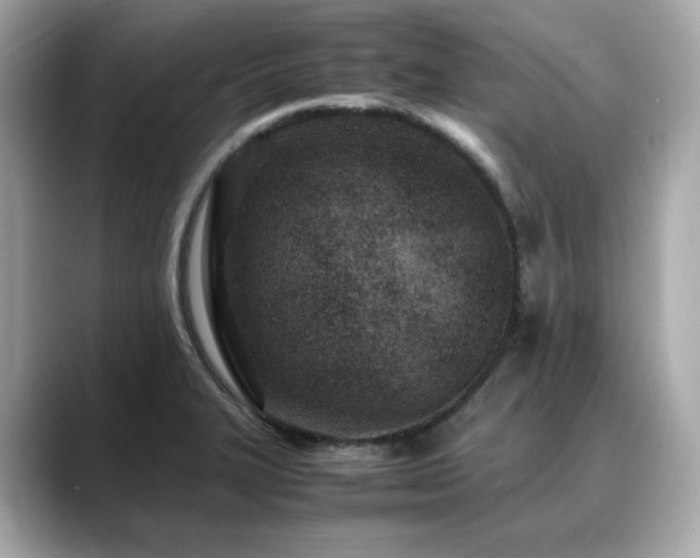 X0000088701327200705311208