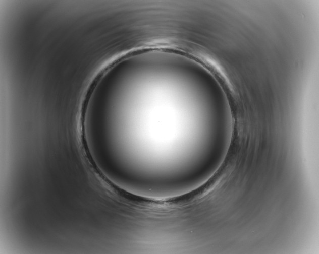 X0000088701328200705311208