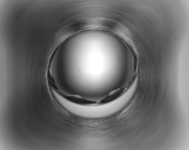 X0000088701330200705311208