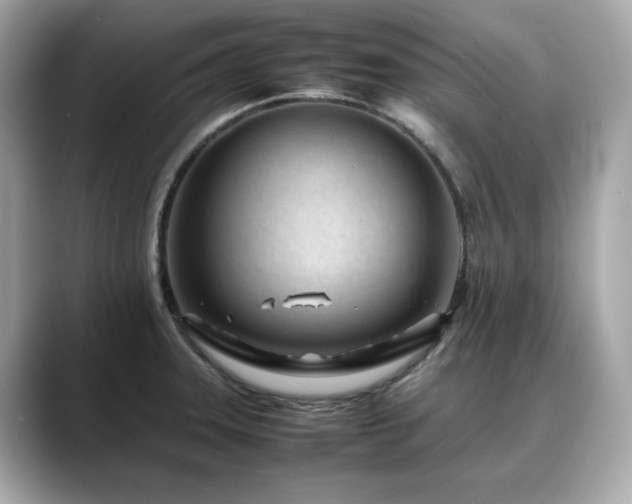 X0000088701331200705311208