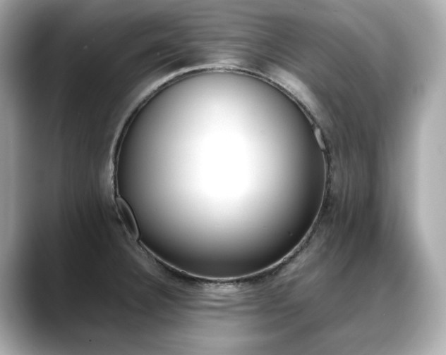 X0000088701332200705311208