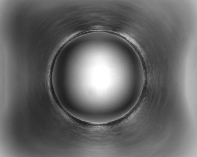 X0000088701333200705311208