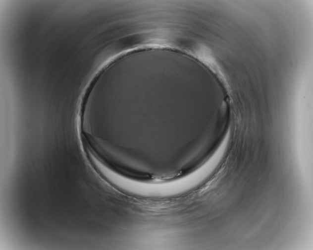 X0000088701334200705311208