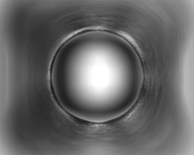 X0000088701335200705311208