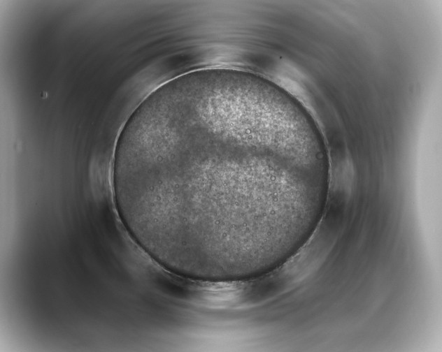 X0000088701338200705311208