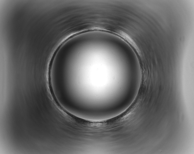 X0000088701339200705311208