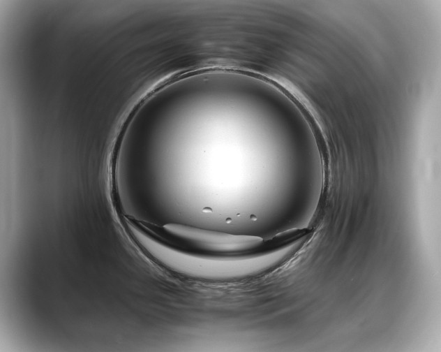 X0000088701341200705311208