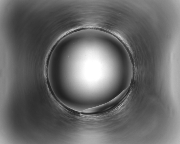 X0000088701342200705311208